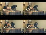 Couple has threesome with dog 👉 👌 Photos Zoophilie chien gra